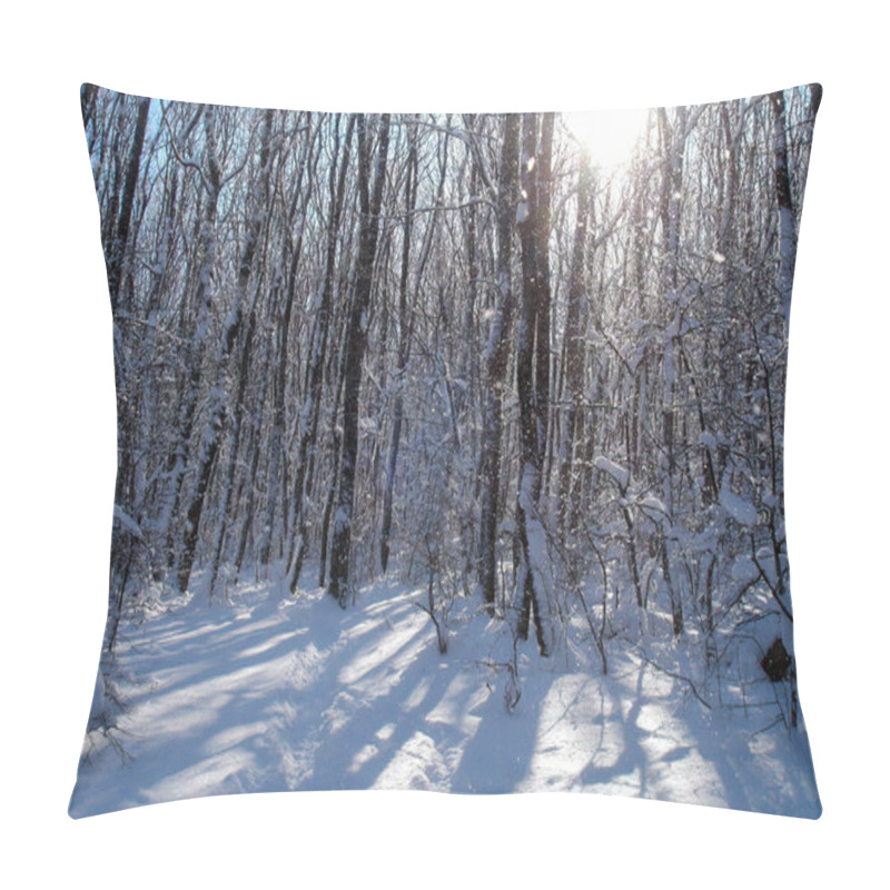 Personality  Winter Landscape With Snow Covered Forest And Empty Trail Among Snowdrifts At Sunny Winter Day. With No People Beautiful Wintry Natural Background.                           Pillow Covers