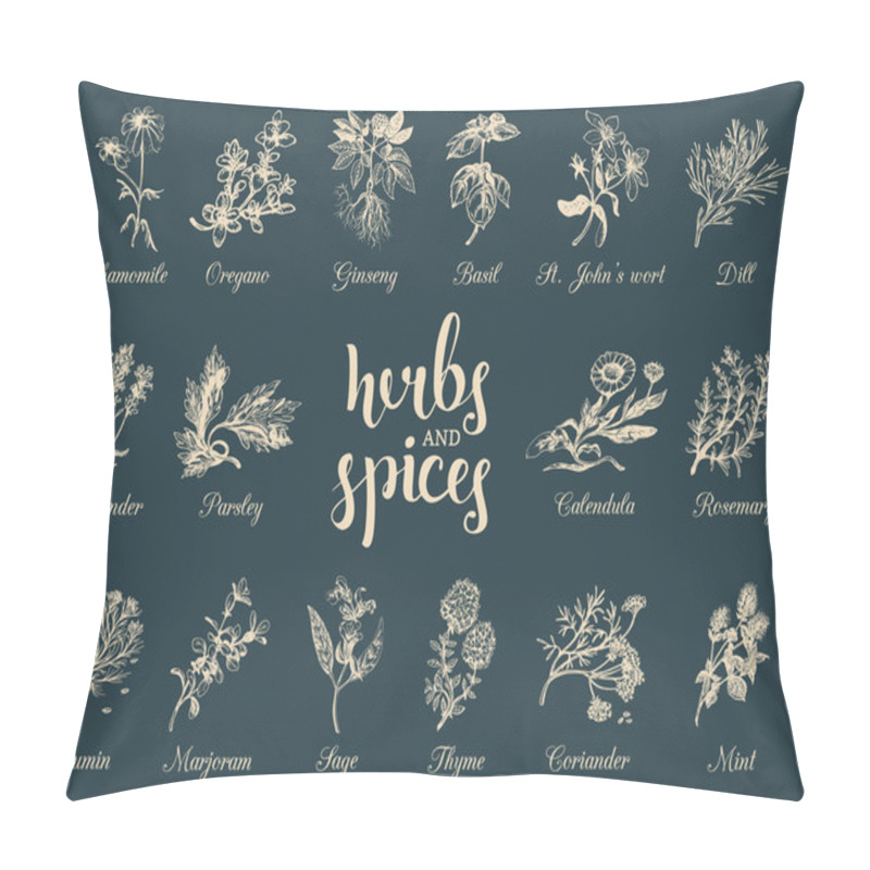 Personality  Herbs And Spices Set. Pillow Covers