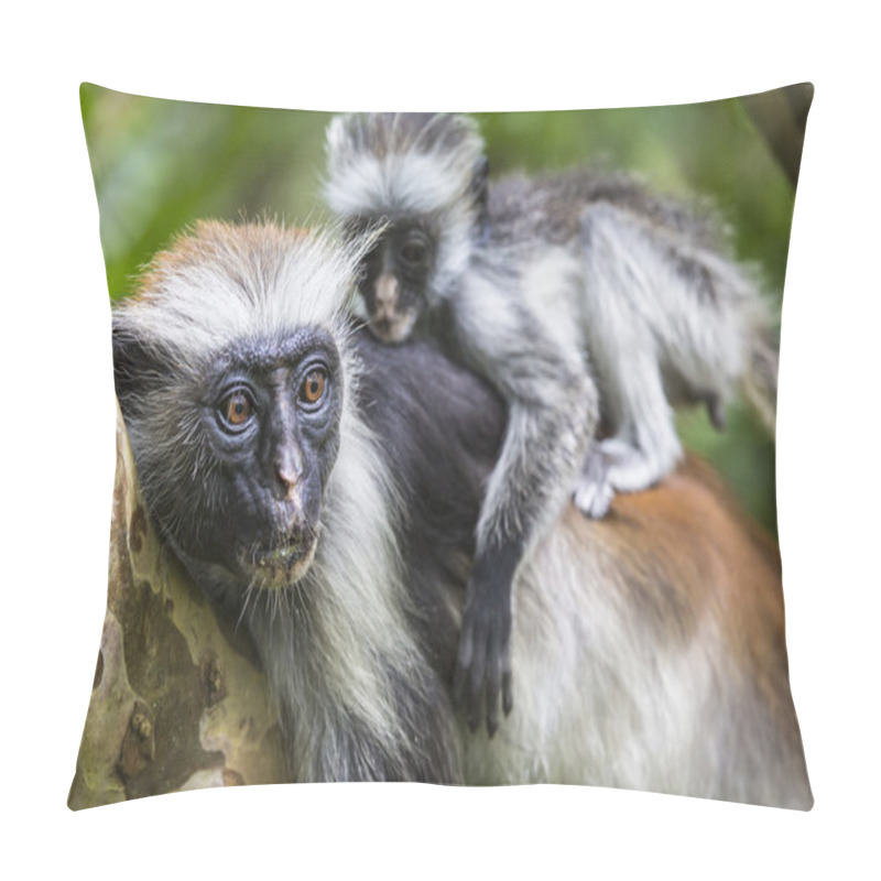 Personality  Endangered Zanzibar Red Colobus Monkey (Procolobus Kirkii), Joza Pillow Covers