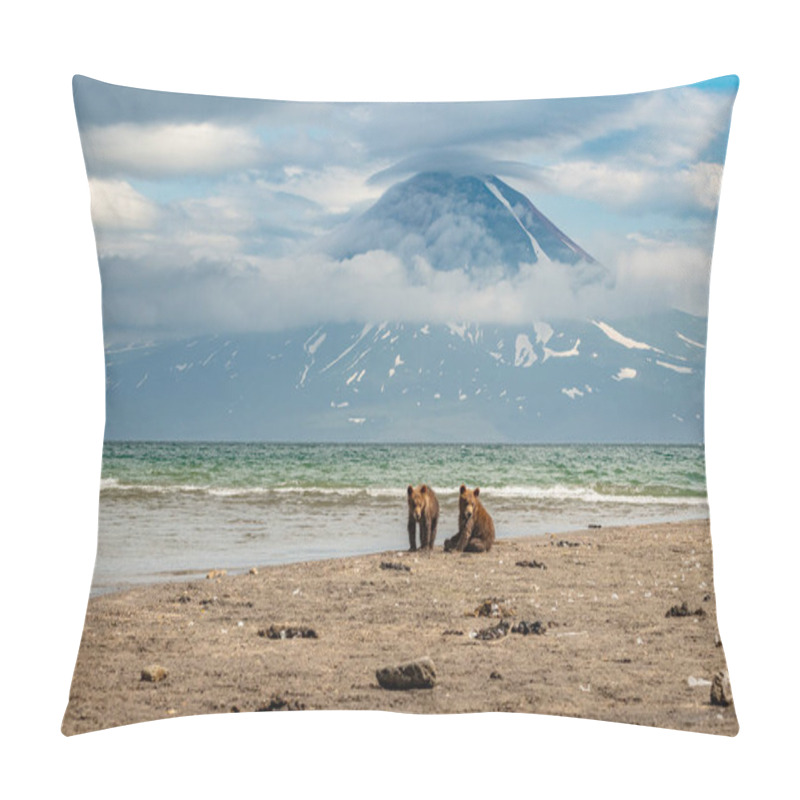 Personality  Ruling The Landscape, Brown Bears Of Kamchatka (Ursus Arctos Beringianus) Pillow Covers