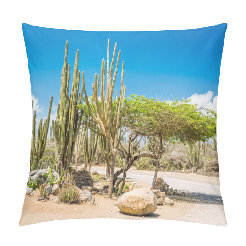 Personality  Typical Dry Climate Cacti And Shrubs In Aruba Pillow Covers