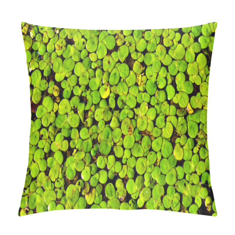 Personality  Duckweed Pillow Covers