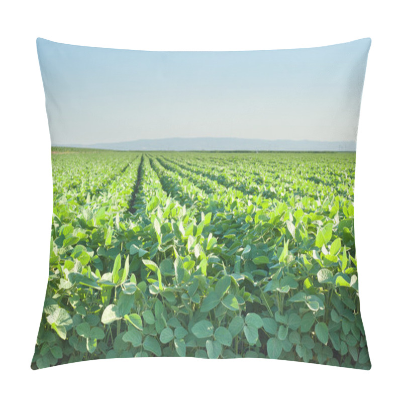 Personality  Soybean Field Pillow Covers