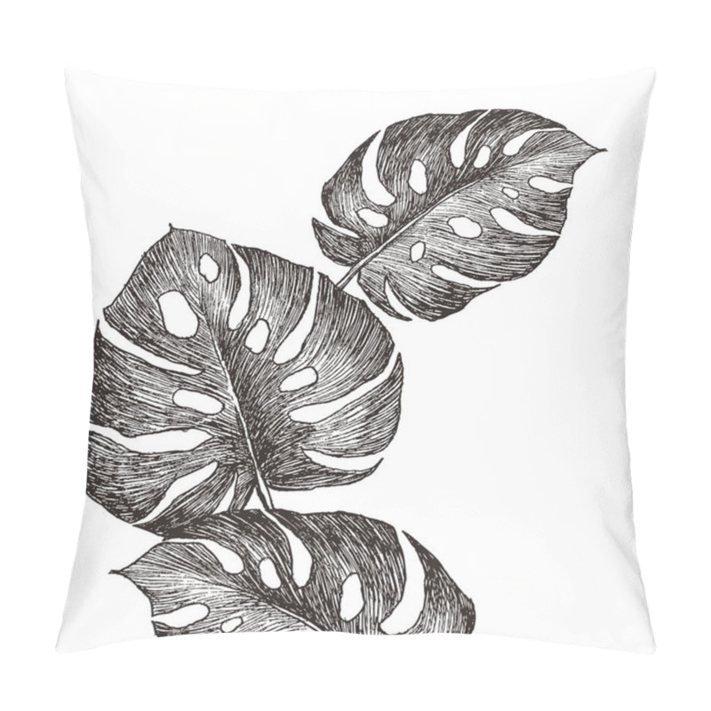 Personality  Hand Drawn Branches And Leaves Of Tropical Plants Monstera. Black Floral Illustration Isolated On White Background. High Detailed Botanical Illustration Pillow Covers