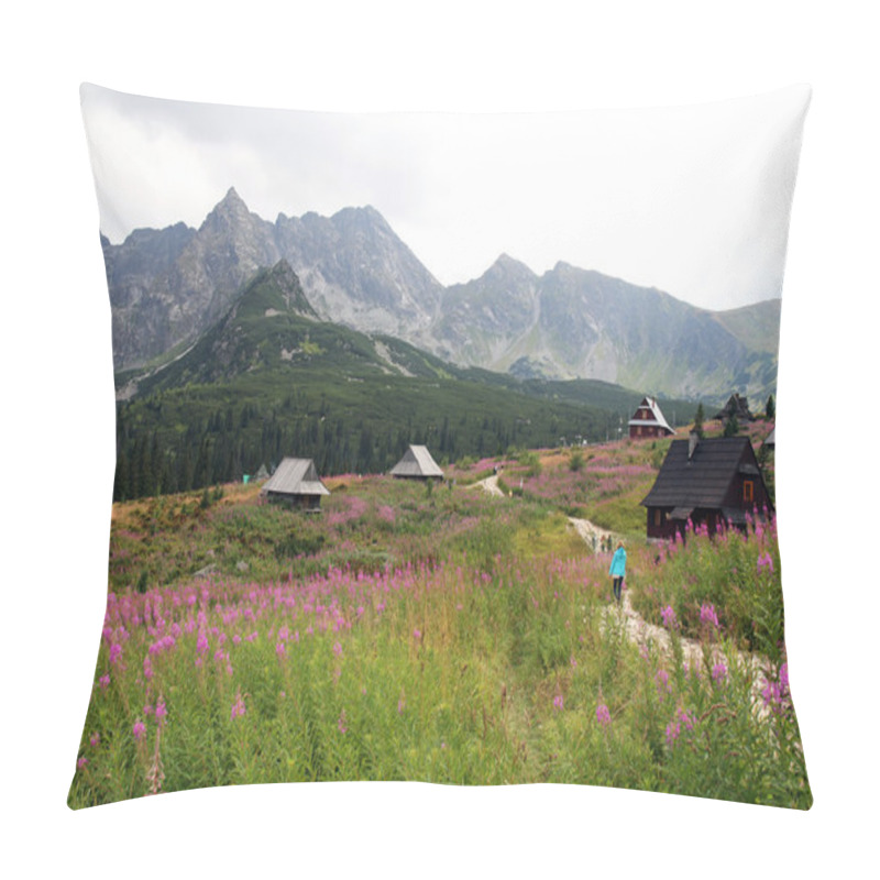 Personality  Gasienicowa Valley In Tatra Mountains, Poland Pillow Covers