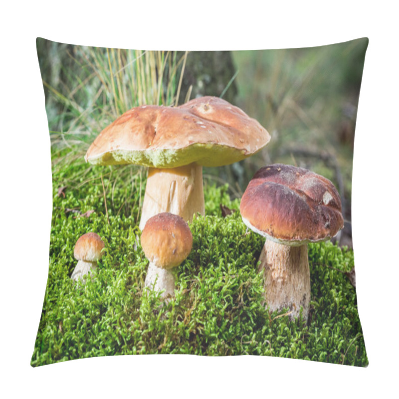 Personality  Boletus Mushroom On Moss In The Forest Pillow Covers