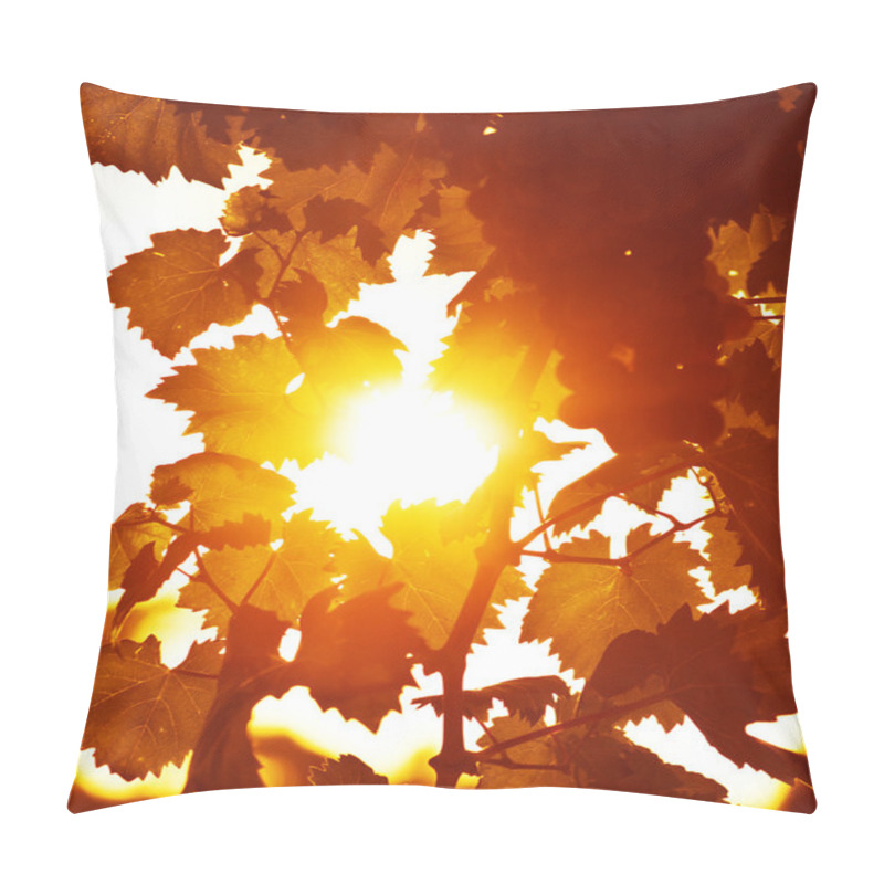 Personality  Grape Leaves Background Pillow Covers