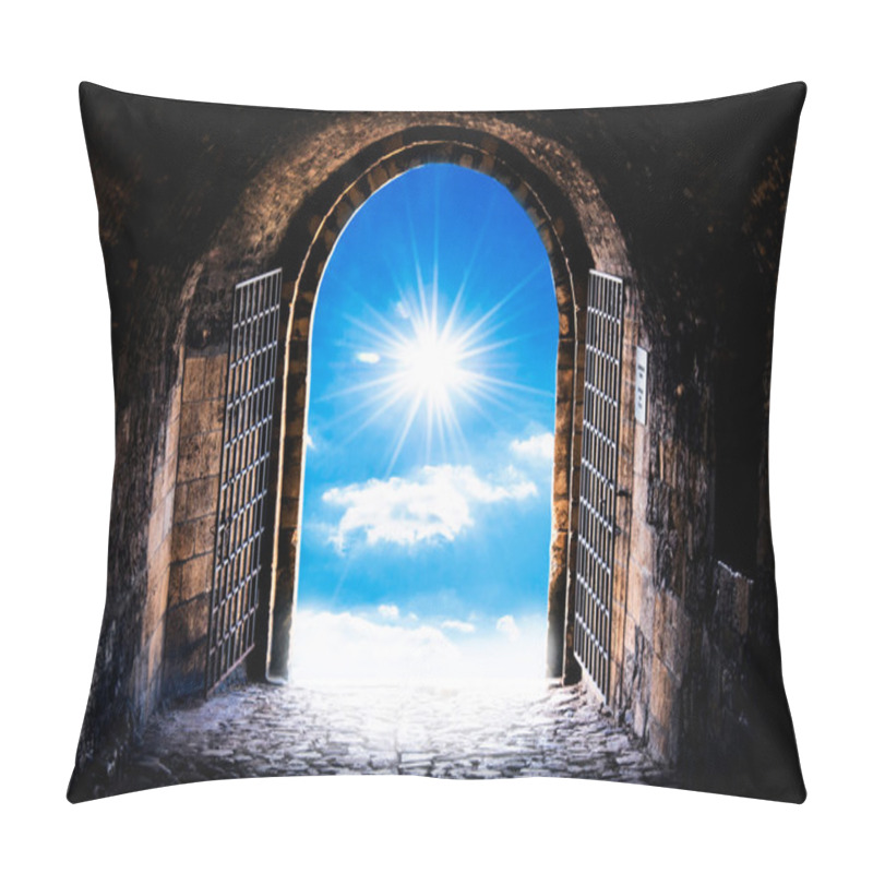 Personality  Haven's Gate Pillow Covers