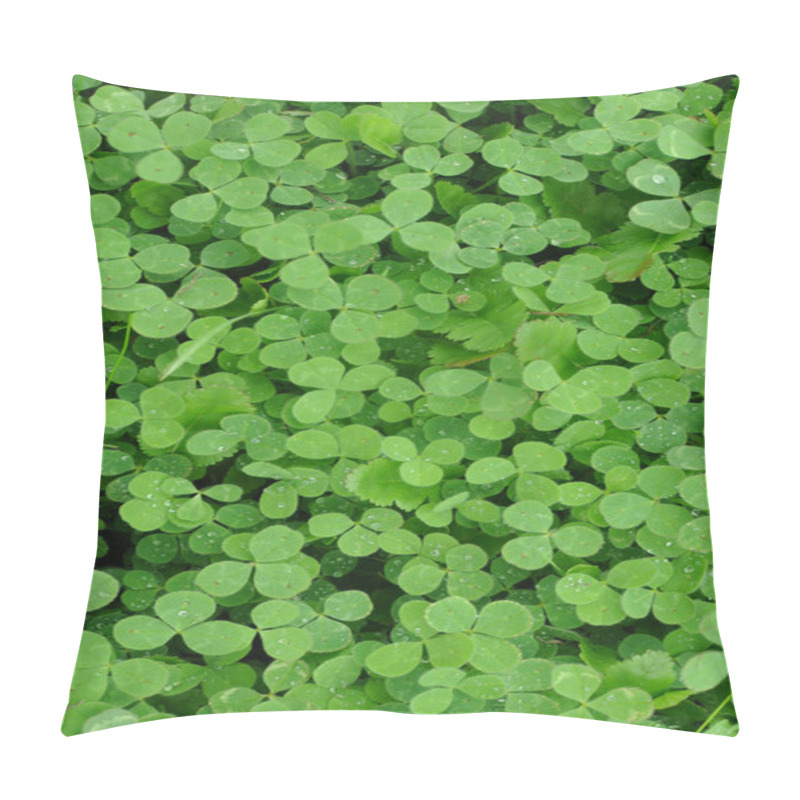 Personality  Green Clover Shamrock Background Pillow Covers