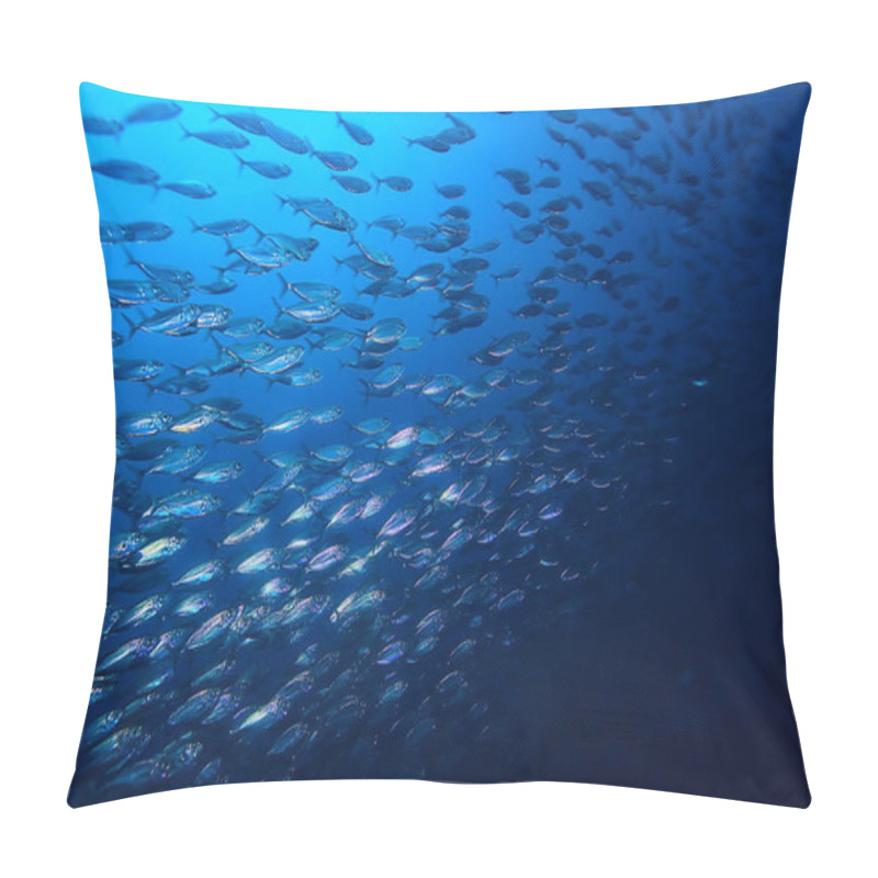 Personality  Lot Of Small Fish In The Sea Under Water / Fish Colony, Fishing, Ocean Wildlife Scene Pillow Covers