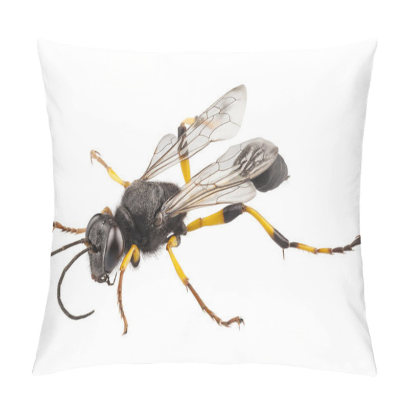 Personality  Wasp Mud Dauber Species Sceliphron Destillatorium Pillow Covers