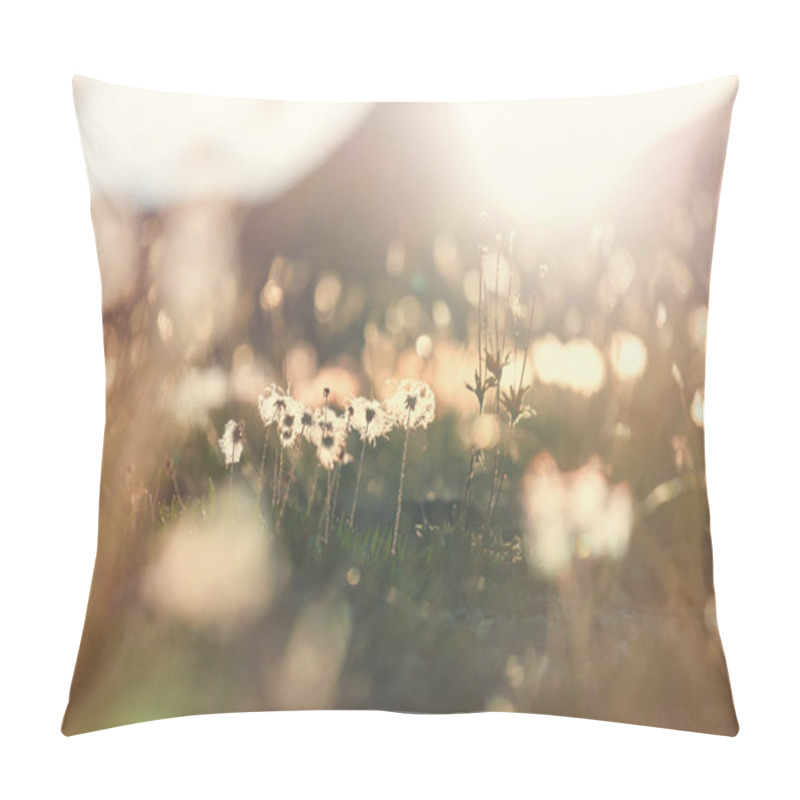 Personality  Sunny Day On The Flowers Meadow. Beautiful Natural Background. Pillow Covers