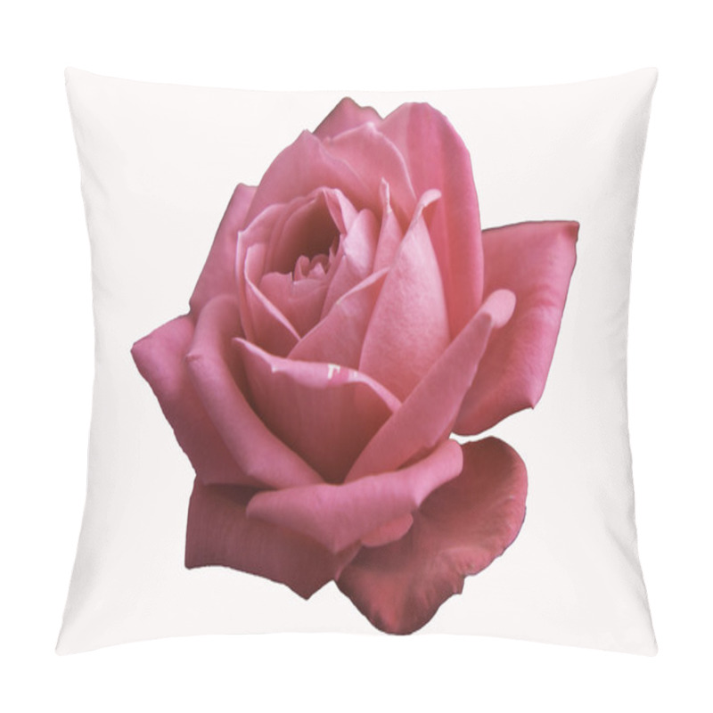 Personality  Pink Rose On A White Background Pillow Covers