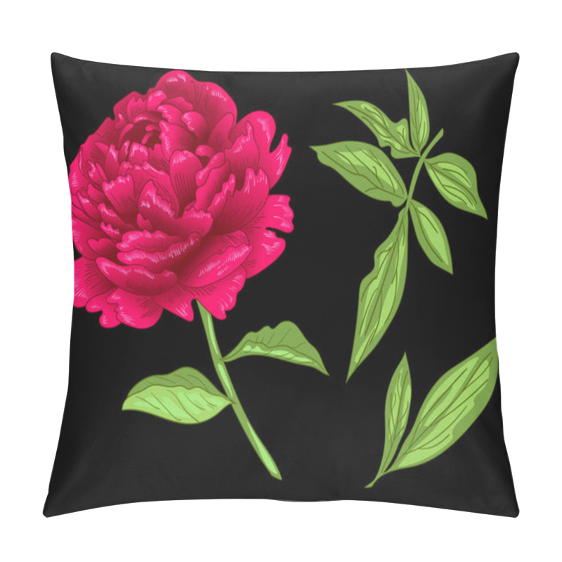 Personality  Vector Red Peony Floral Botanical Flower. Red And Green Engraved Ink Art. Isolated Peony Illustration Element. Pillow Covers