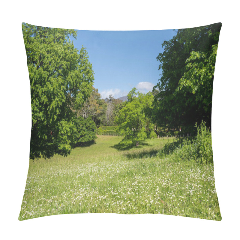 Personality  Trees In A Meadow On A Farm In A Country Estate On A Farm In Spring Pillow Covers