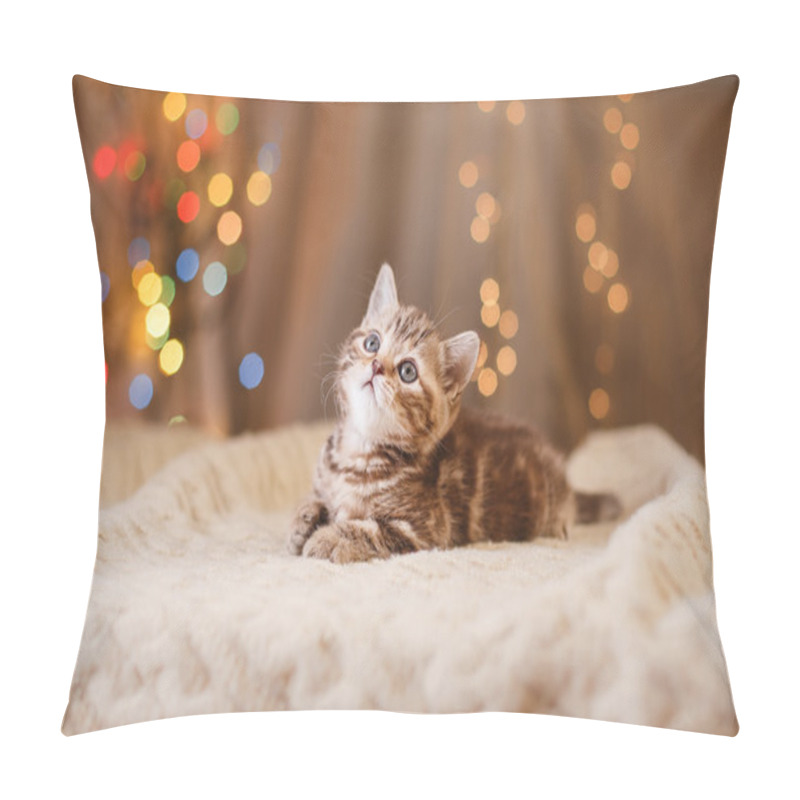 Personality  British Kitten, Christmas And New Year Pillow Covers