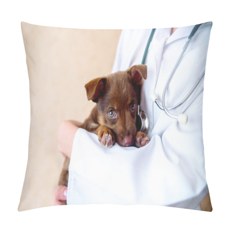 Personality  Vet Examines A Puppy In The Hospital Pillow Covers