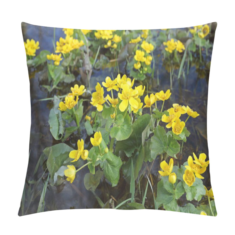 Personality  Caltha Palustris. The Marsh Marigold In The Spring In Siberia Pillow Covers