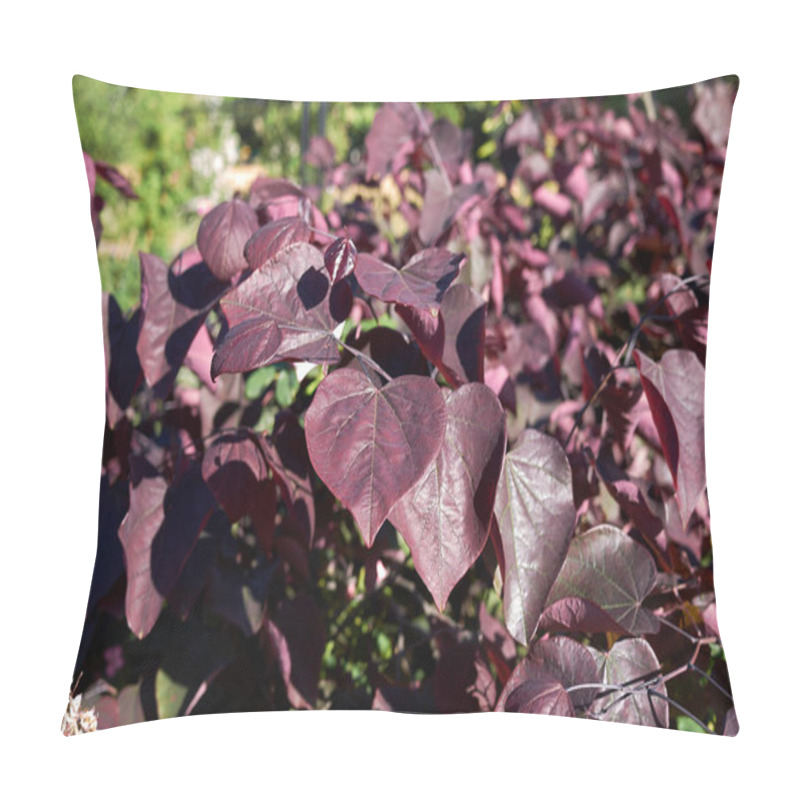 Personality  Cercis Canadensis Red Foliage Pillow Covers