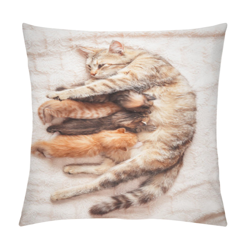 Personality  Mother Cat Nursing Baby Kittens Pillow Covers