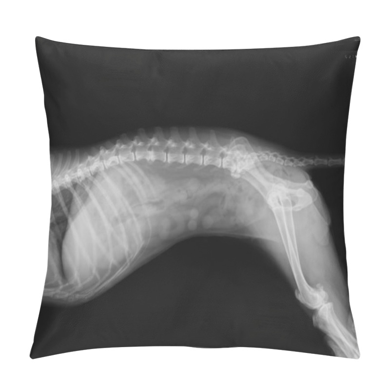 Personality  Side View Of Female Dog X-Ray Pillow Covers