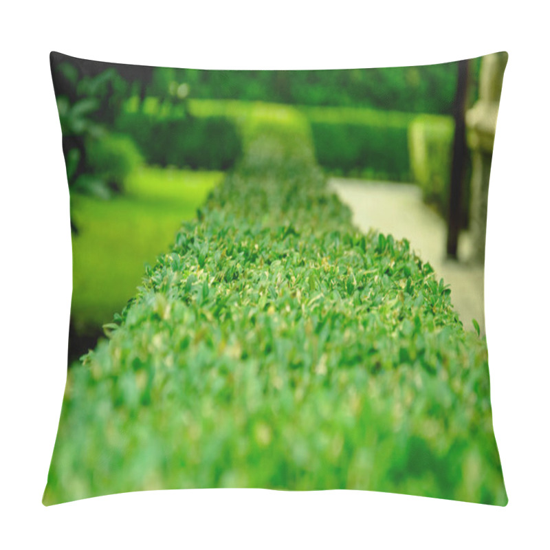 Personality  Beautiful Green Sheared Bush On The Background Of Trees Pillow Covers