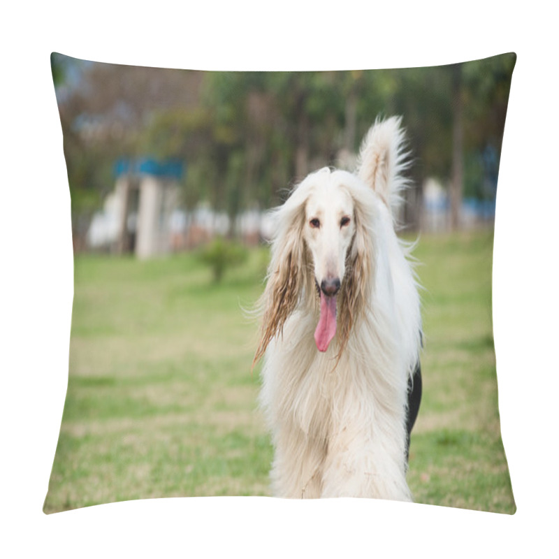 Personality  Afghan Hound Dog Pillow Covers