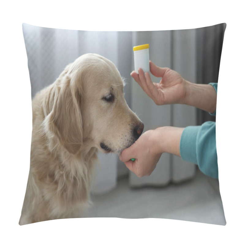 Personality  Woman Giving Pills To Cute Dog At Home, Closeup. Vitamins For Animal Pillow Covers