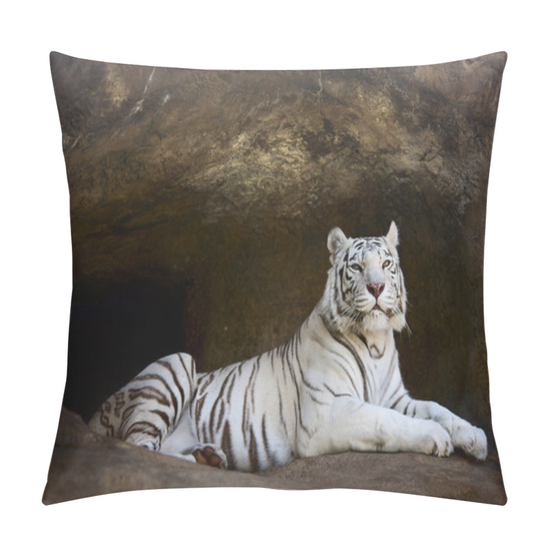 Personality  White Tiger Pillow Covers