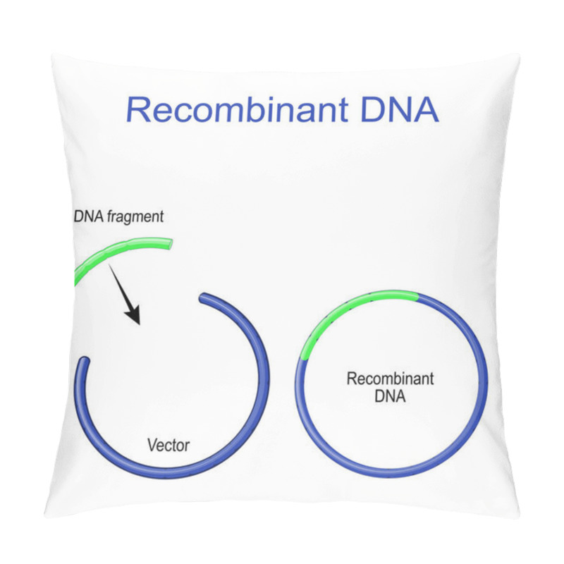 Personality  Plasmids And Recombinant DNA. Foreign DNA Fragment Is Inserted Into A Plasmid Vector. Gene Cloning. Recombinant Subunit Vaccine. Molecular Biology. Scientific Research Pillow Covers