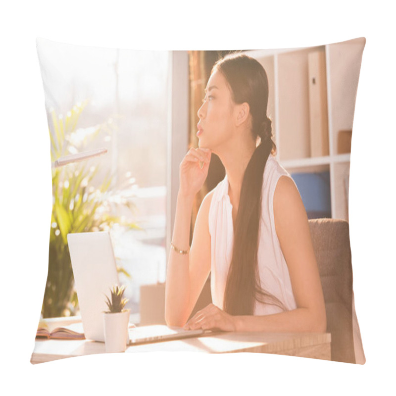 Personality  Businesswoman Working With Laptop Pillow Covers