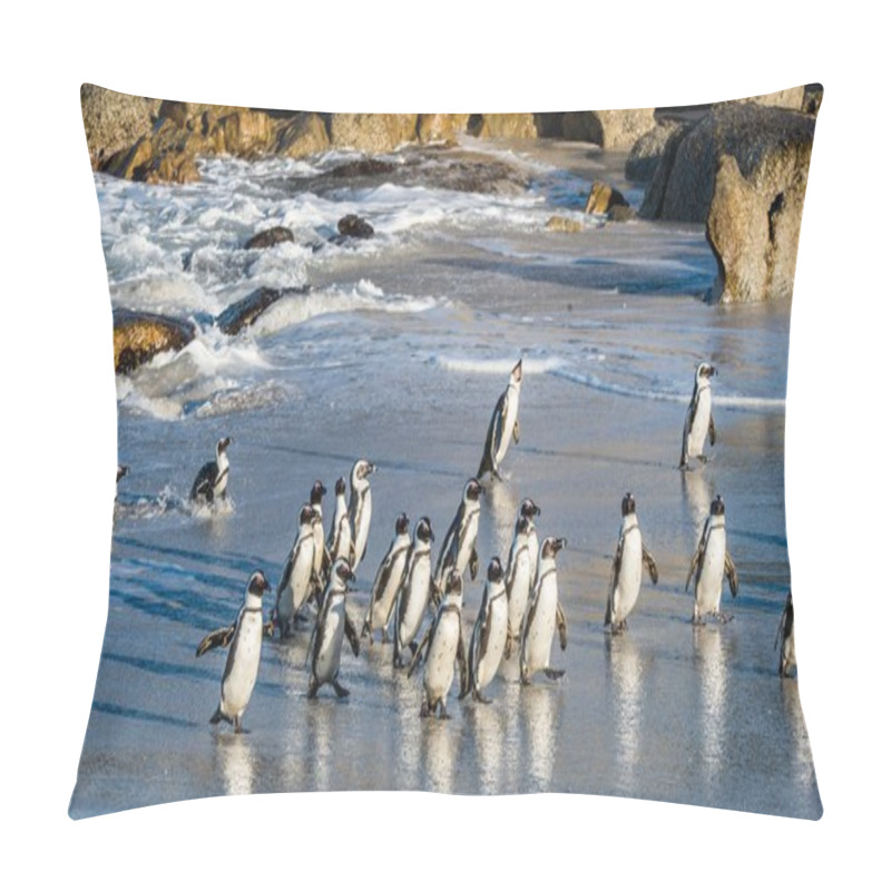 Personality  African Penguins Walk Out Of Ocean Pillow Covers