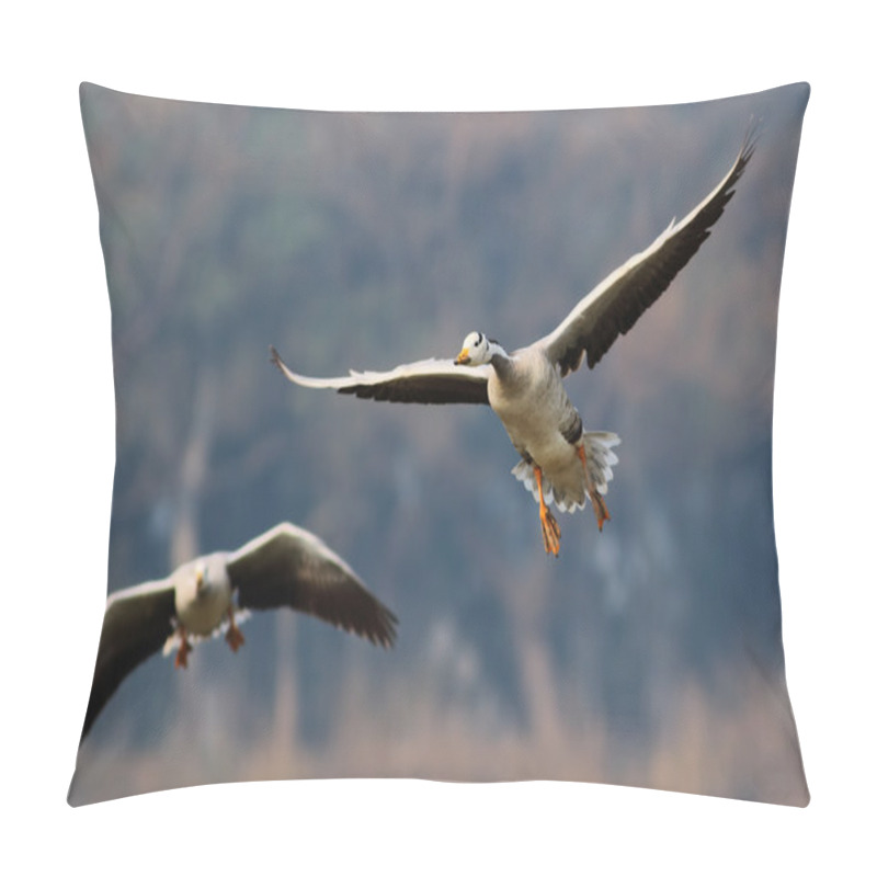 Personality  The Flying Machine Pillow Covers