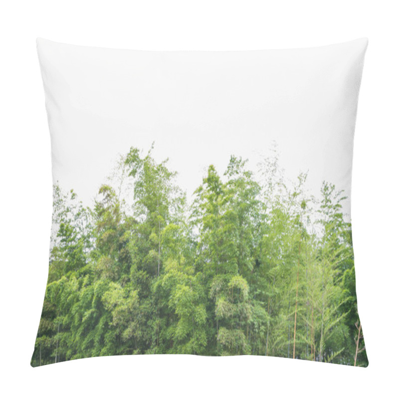 Personality  Bamboo Forest With Morning Sunlight Pillow Covers