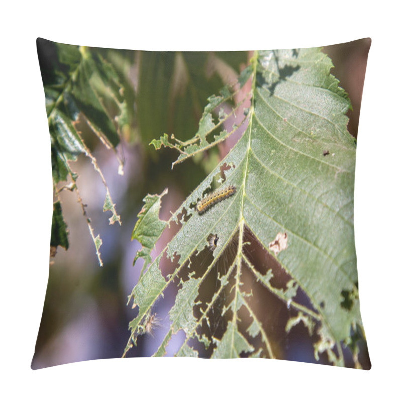 Personality  Caterpillar On Green Leaves. Pillow Covers