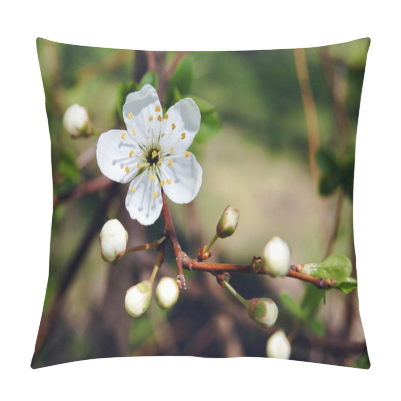 Personality  Cherry Blossom Pillow Covers