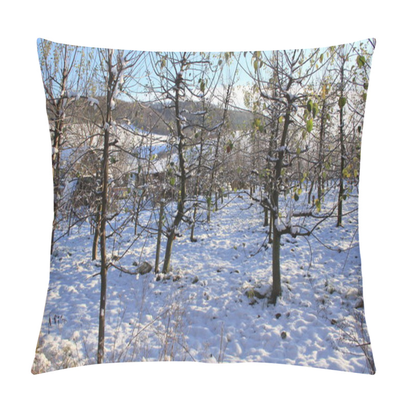 Personality  Snow-covered Ukrainian Fields And Gardens. Backgrounds Of Winter Nature For Phones And Tablets. Seasons Of The Year. Pillow Covers