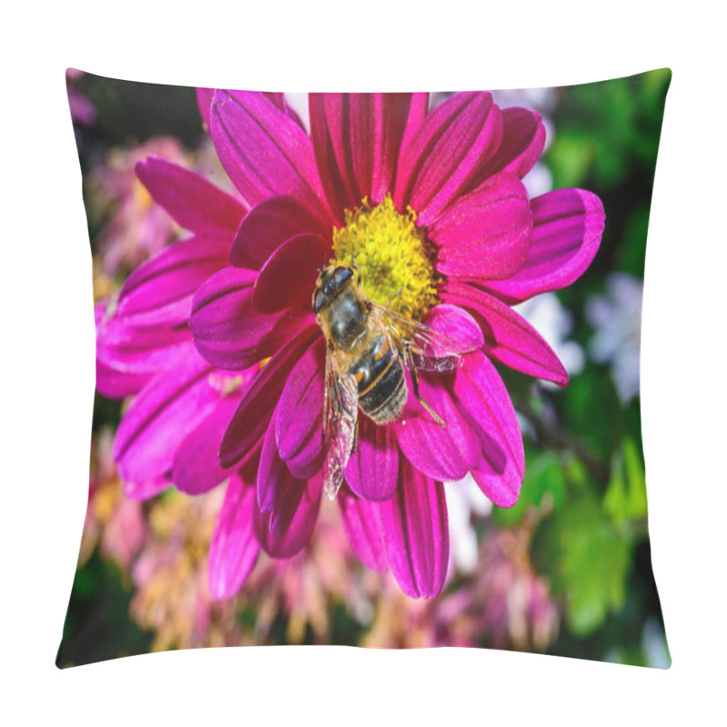 Personality  Batman Hoverfly - Myathropa Florea,  Flower Fly Hoverfly Collects Nectar On Autumn Flowers Chrysanthemum In The Garden Pillow Covers