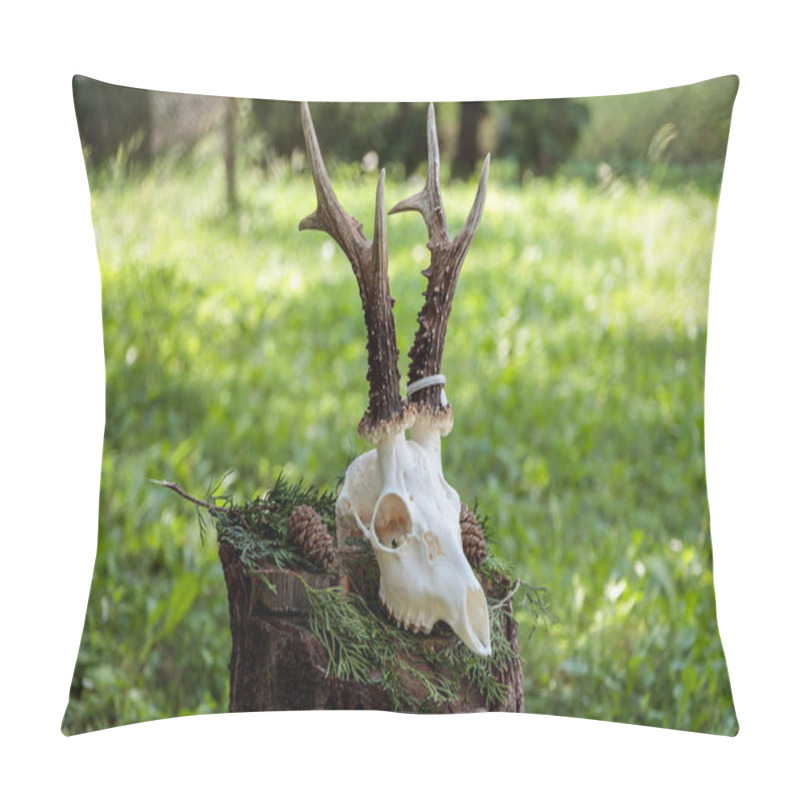 Personality  Skull Of A Deer With Horns. Deer Skull Close Up. Deer Skull With Teeth. Pillow Covers