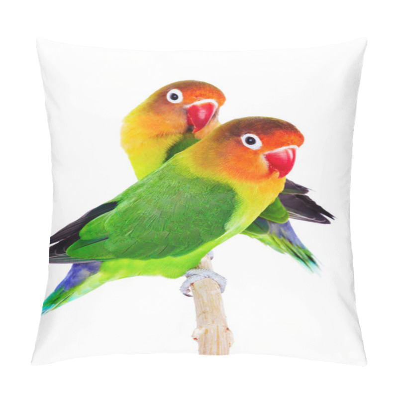 Personality  Pair Of Lovebirds Pillow Covers