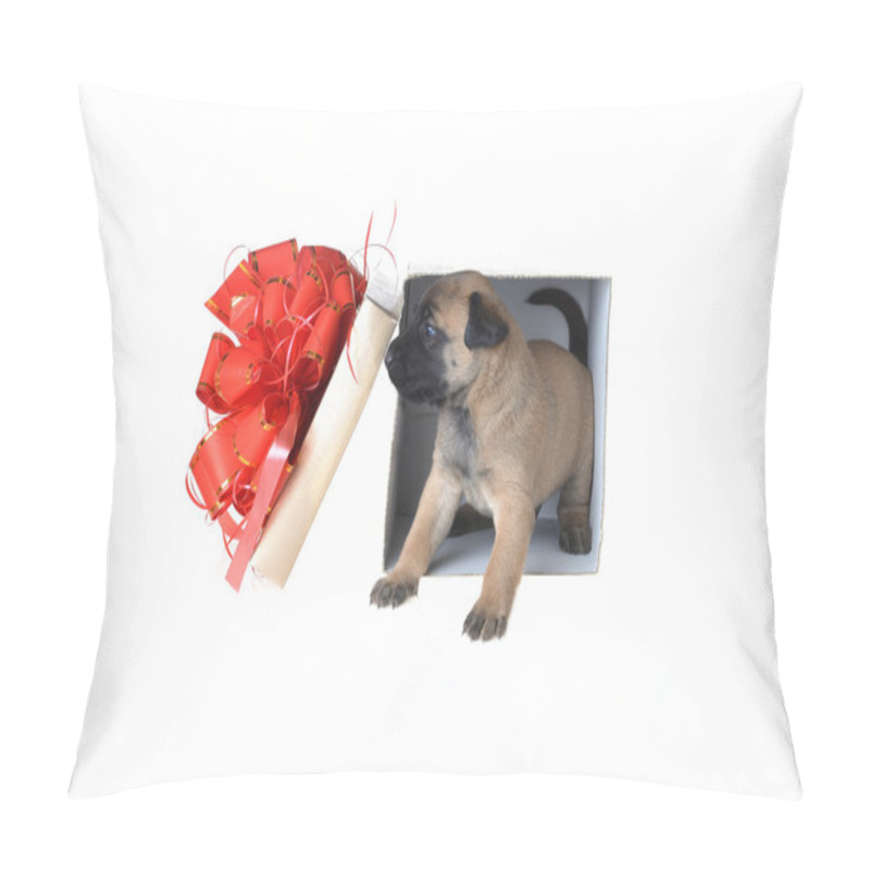 Personality  Cute Young Puppy Pillow Covers