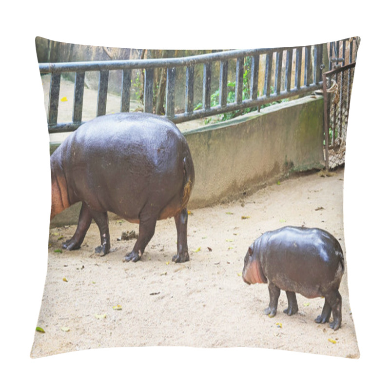 Personality  Mother And Baby Pygmy Hippos Being Together In The Zoo Pillow Covers