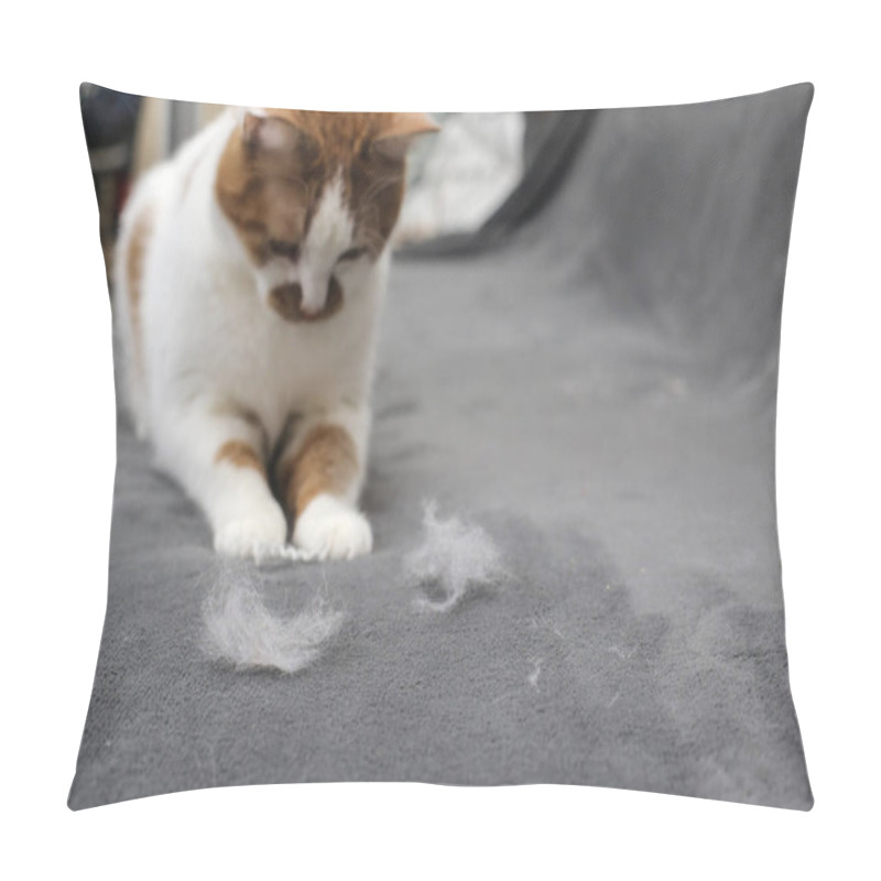 Personality  Pet Hair. Cleaning The Cat's Fur. Cat Hair On The Couch. Pillow Covers