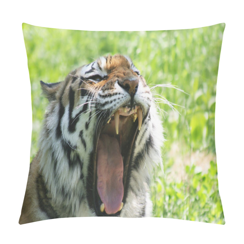 Personality  Angry Tiger Pillow Covers