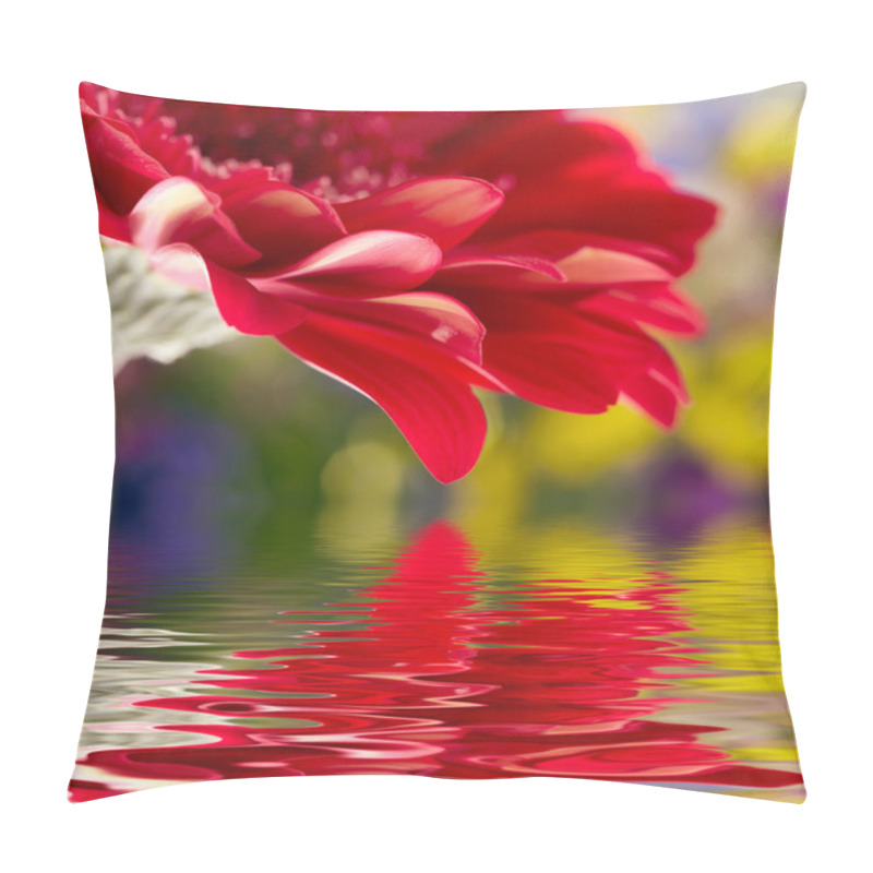 Personality  Red Daisy-gerbera With Soft Focus Reflected In The Water Pillow Covers