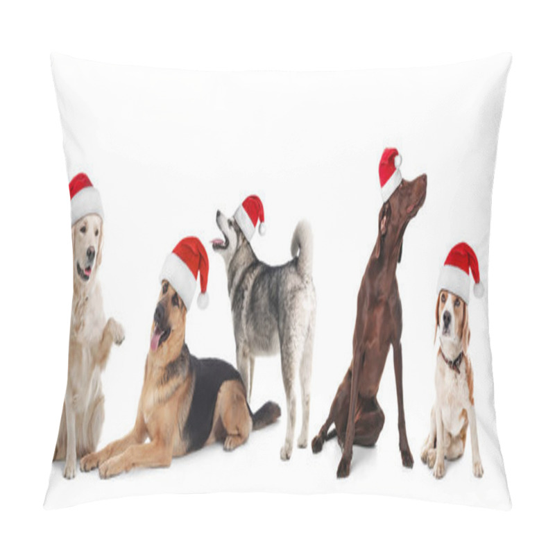 Personality  Row Of Cute Dogs With Santa Claus Hats On White Background. Christmas Concept  Pillow Covers