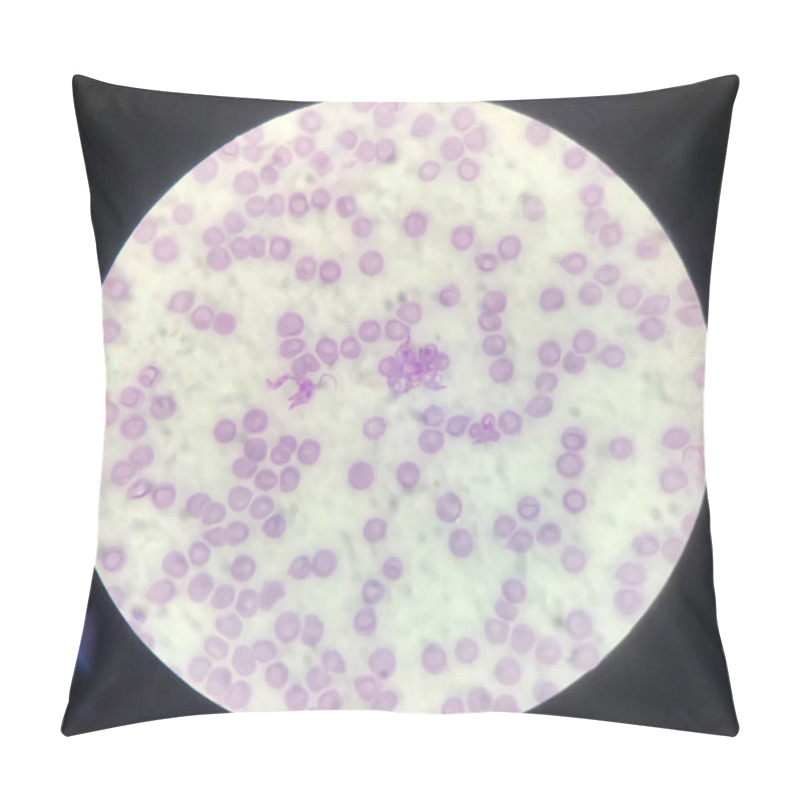 Personality  Blood Parasite Trypanosoma On Red Blood Cells Medical Background Concept. Pillow Covers