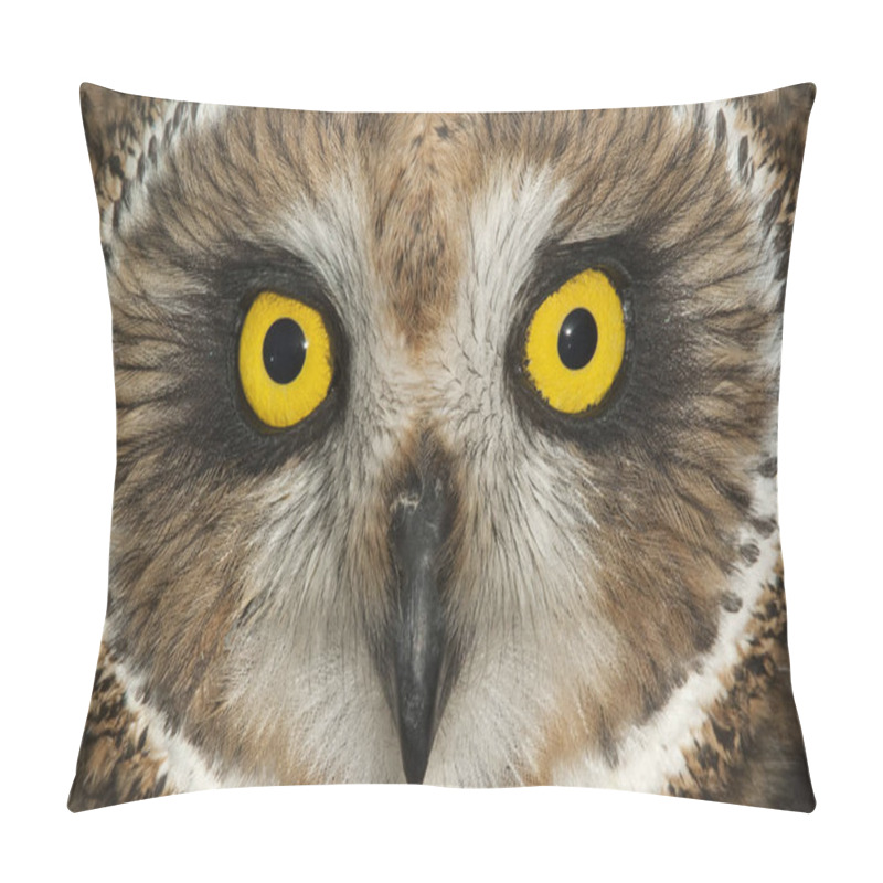 Personality  Short Eared Owl, Asio Flammeus, Country Owl, Portrait Of Eyes And Face Pillow Covers