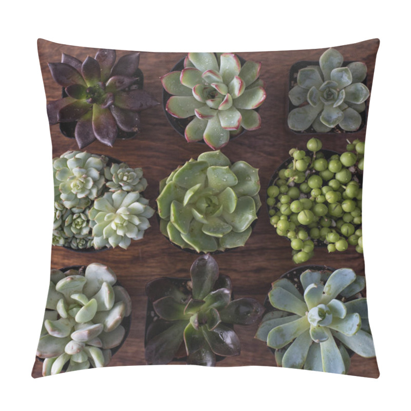 Personality  Top View Of Succulents In Pots On Wooden Background Pillow Covers