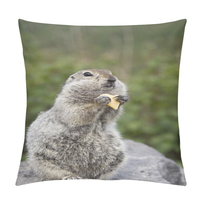 Personality  Gopher Eating A Piece Of Cheese Pillow Covers